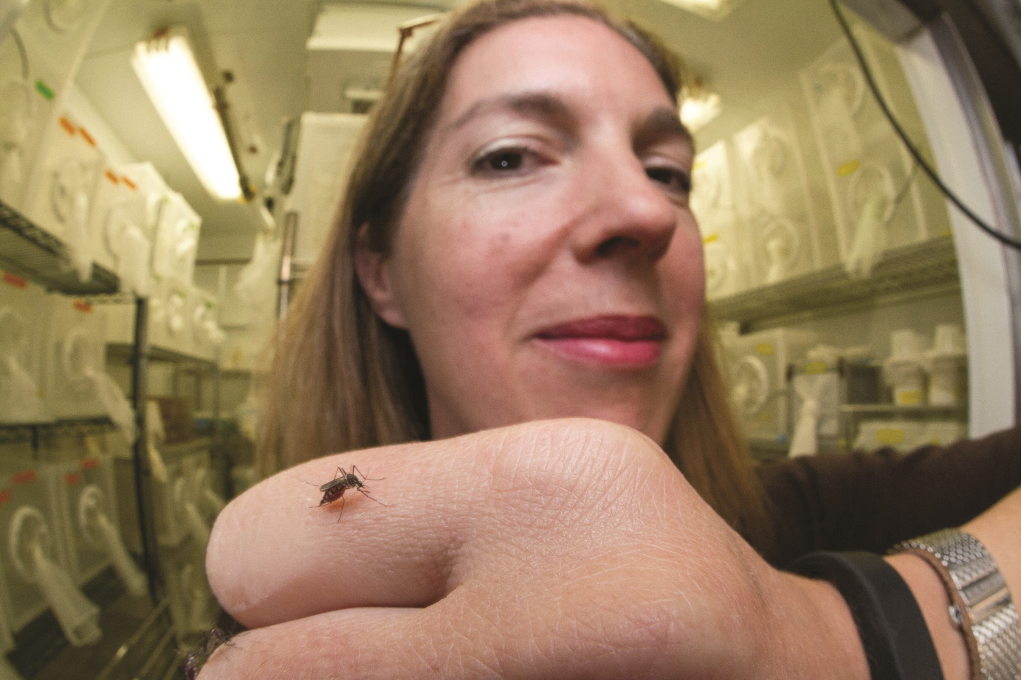 GCGH Retrospectives - Axel and Vosshall