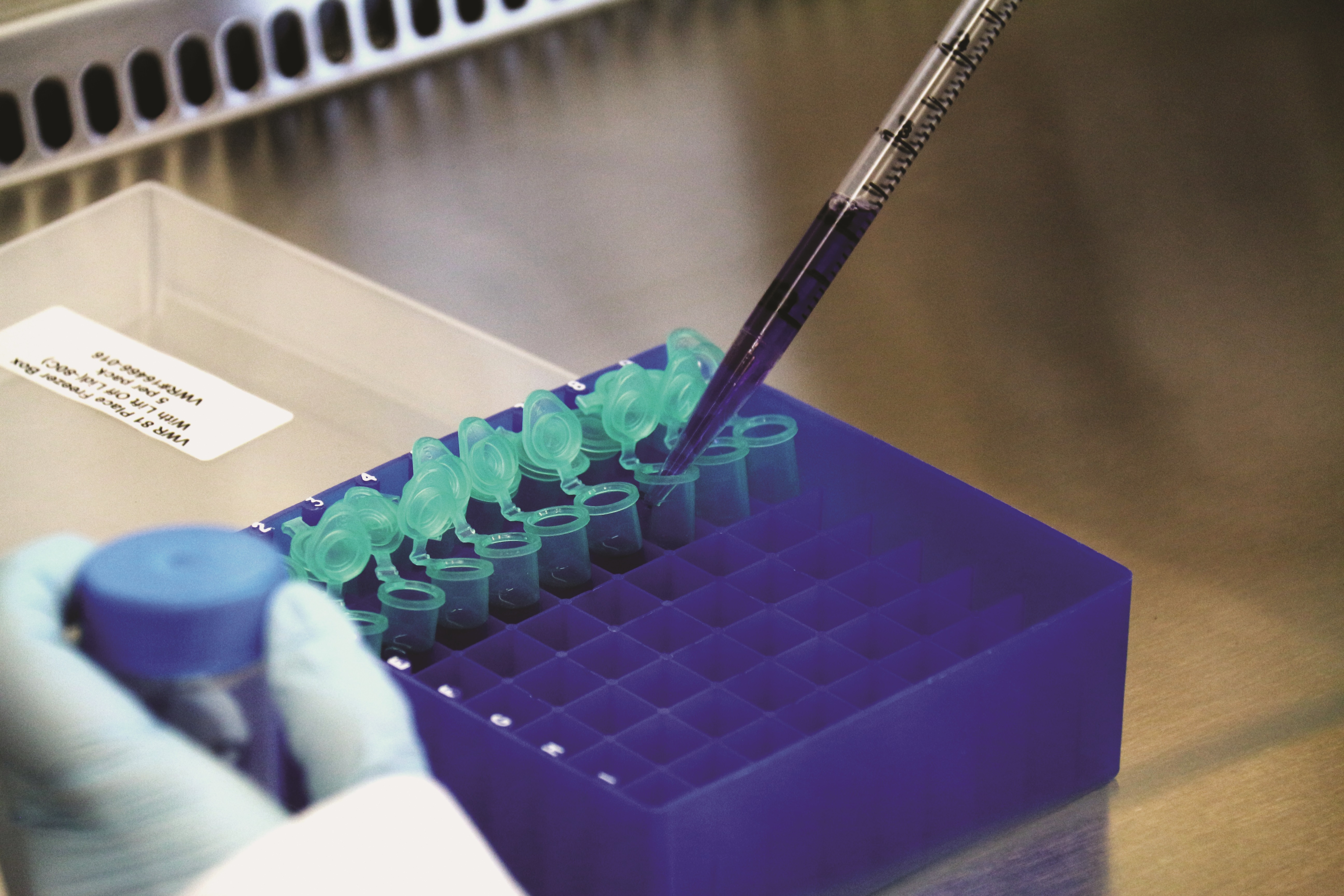 GCGH Retrospectives - David Baltimore