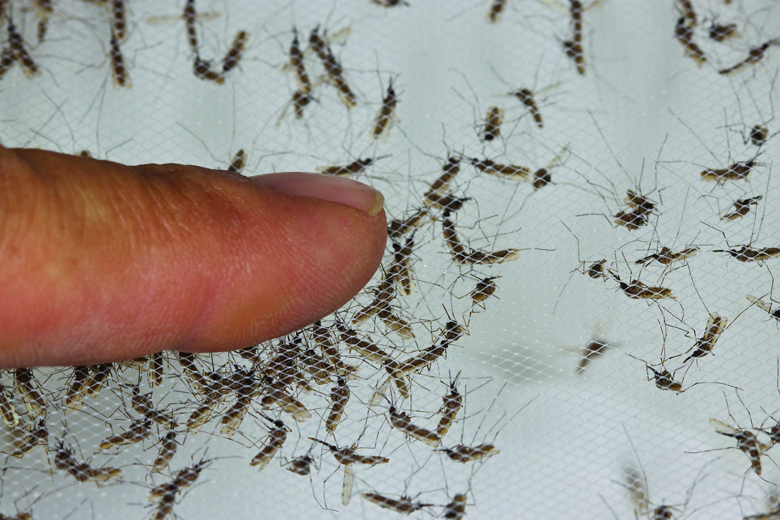 GCGH Retrospectives - Stefan Kappe