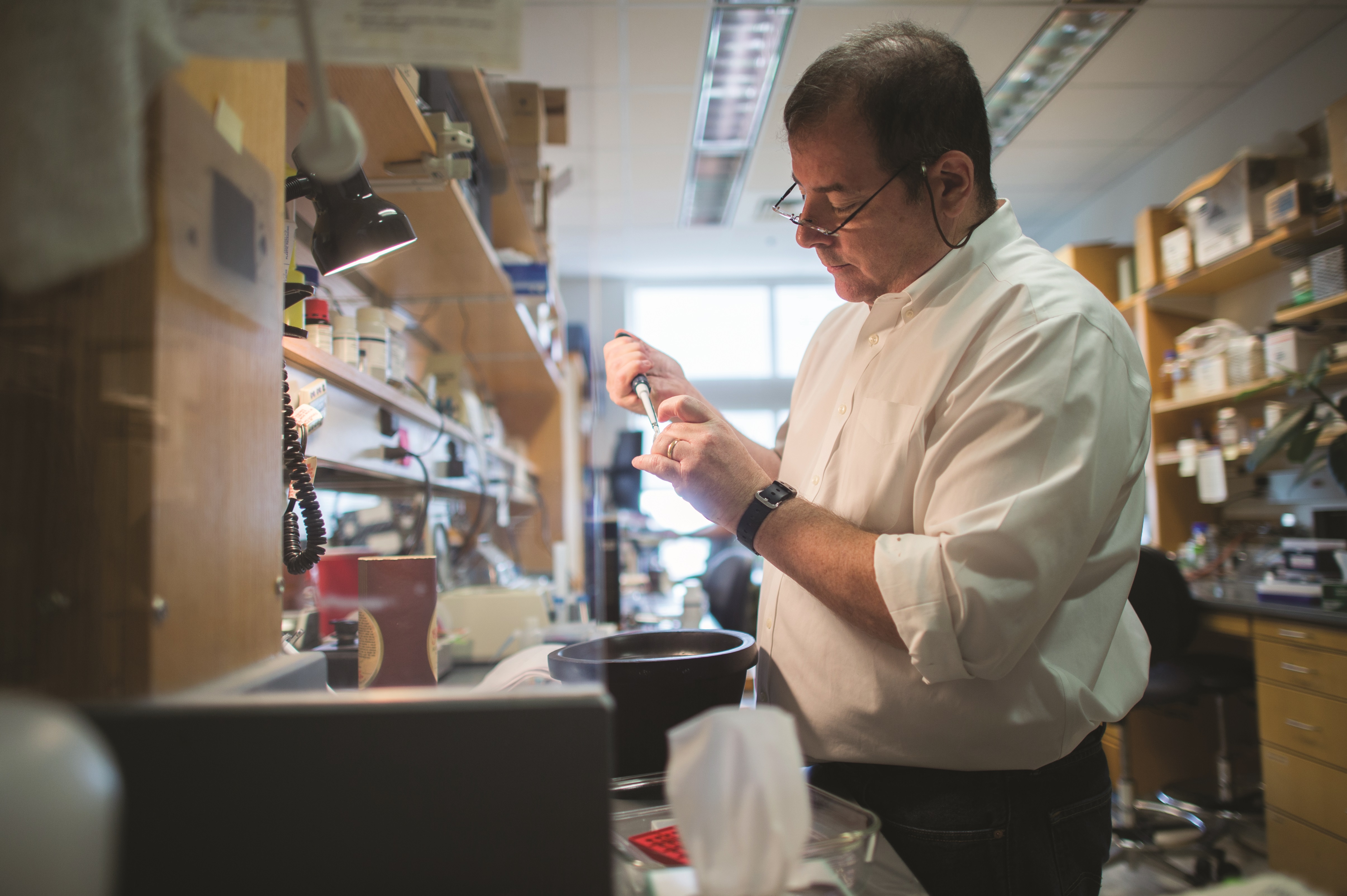 GCGH Retrospective - Laurence Zwiebel