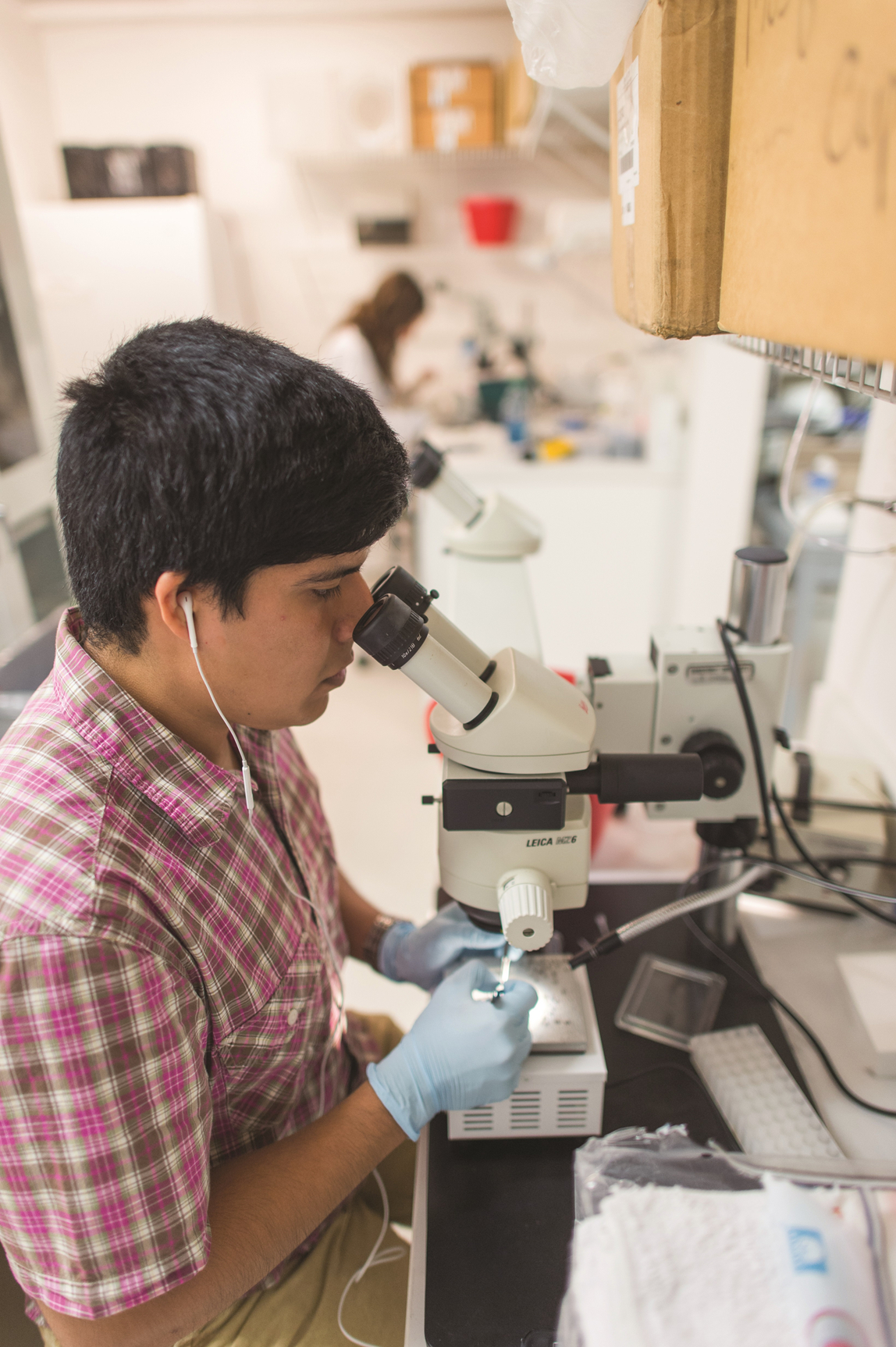 GCGH Retrospective - Laurence Zwiebel