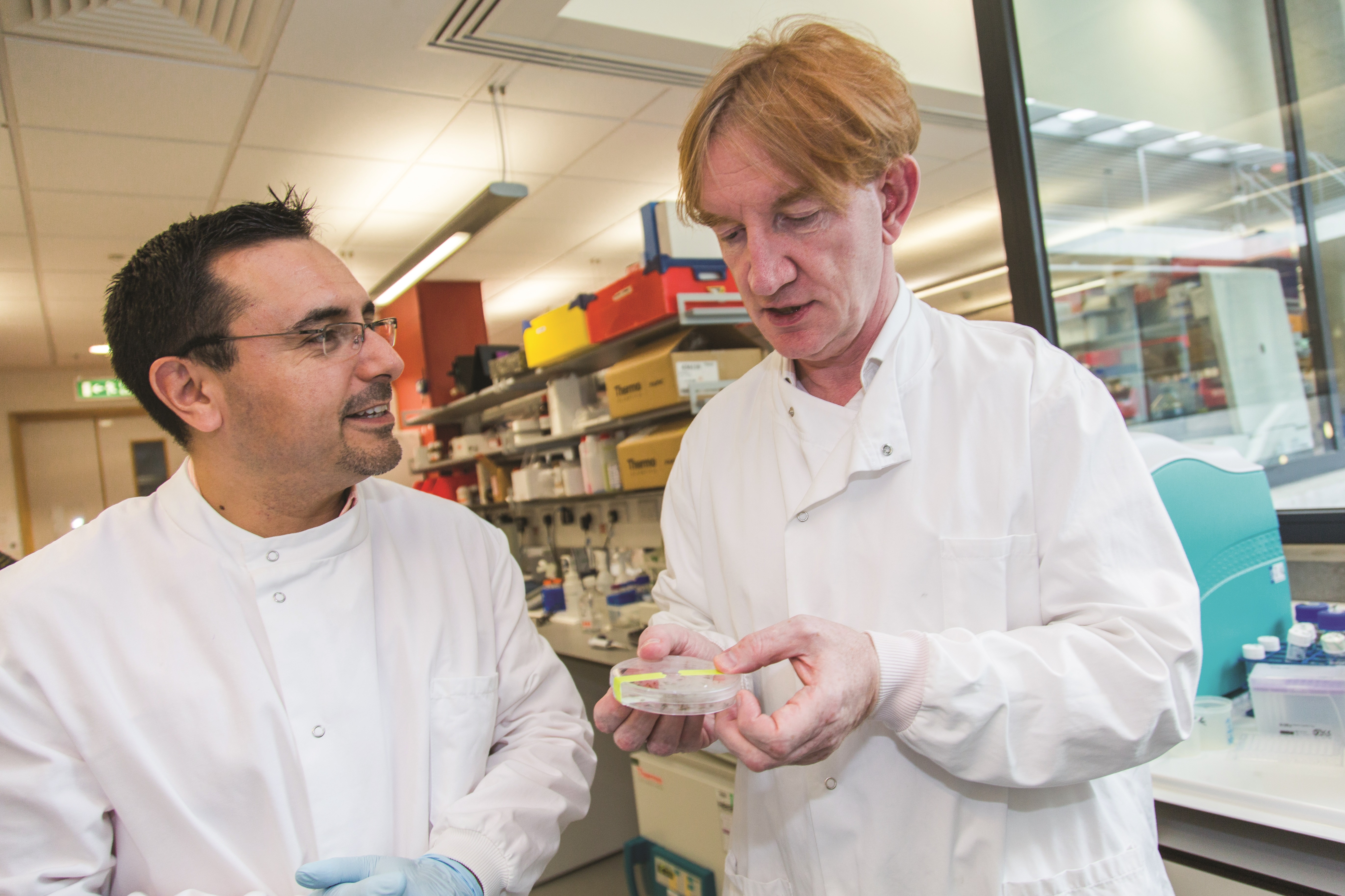 GCGH Retrospectives - Adrian Hill