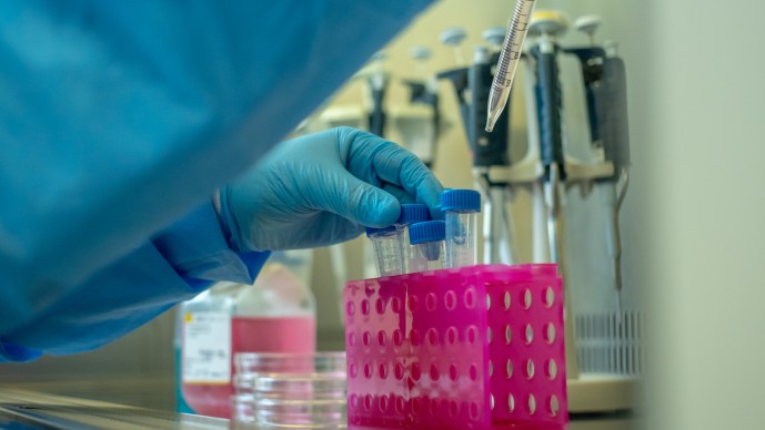 Calestous Juma Fellow Jo-Ann Passmore lab shot