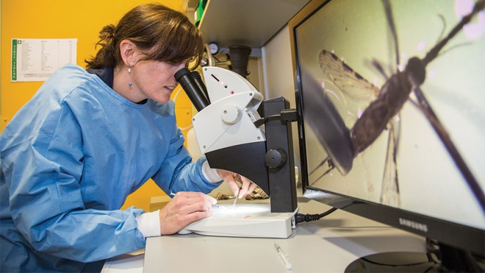 GCGH Retrospectives - Adrian Hill