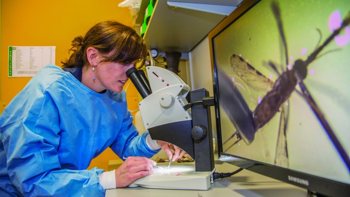 GCGH Retrospectives - Adrian Hill