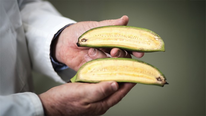 GCGH Retrospectives - James Dale and Wilberforce Tushemereirwe