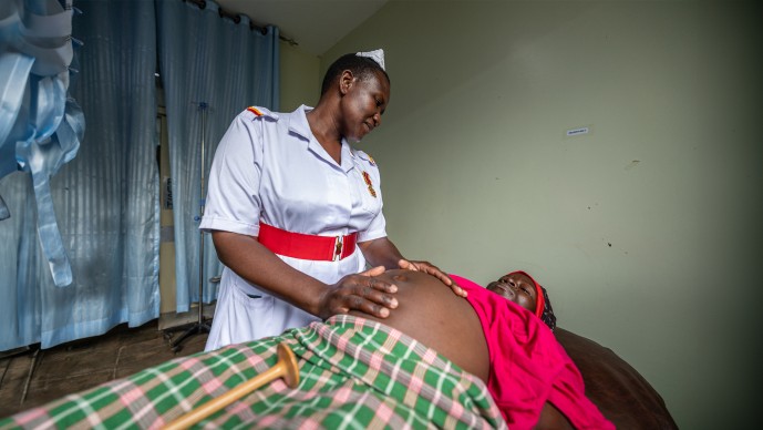 Reducing the Burden of Preeclampsia RFP