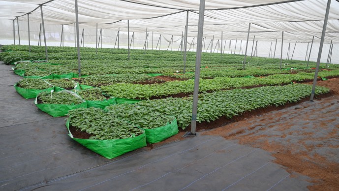 October 2024 Grants Announcement