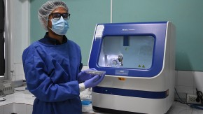 Volga Ana Iñiguez Rojas - Pathogen Identification