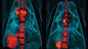 /sites/default/files/styles/listing_image/public/GCGH%20Retrospectives%20-%20Douglas%20Young?itok=reqWizW0