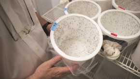 /sites/default/files/styles/listing_image/public/GCGH%20Retrospective%20-%20Laurence%20Zwiebel?itok=hkQV5I2I