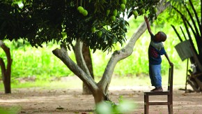 /sites/default/files/styles/listing_image/public/GCGH%20Retrospectives%20Cover?itok=3ETJ_H4K