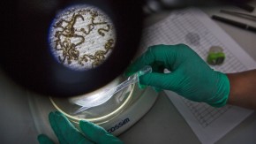 The next epidemic is coming. Here's how we can make sure we're ready